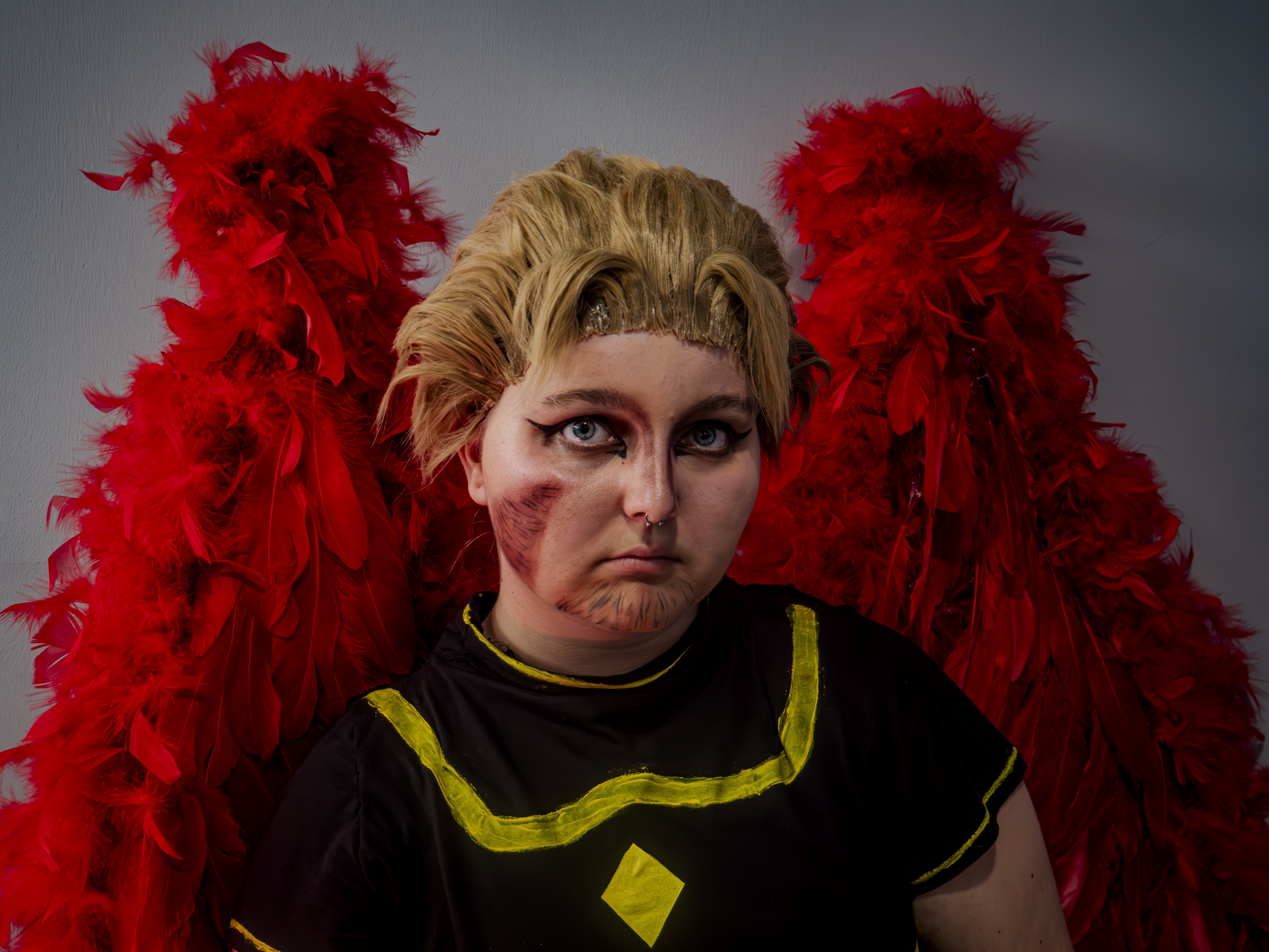 Hawks — photo 5