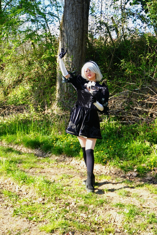 2B - Photo 3