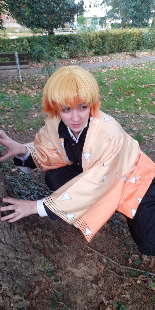 Zenitsu Agatsuma  - Photo 11