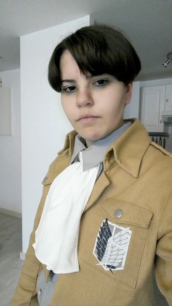 Petit_ornithorynque_ - Levi Ackerman 
