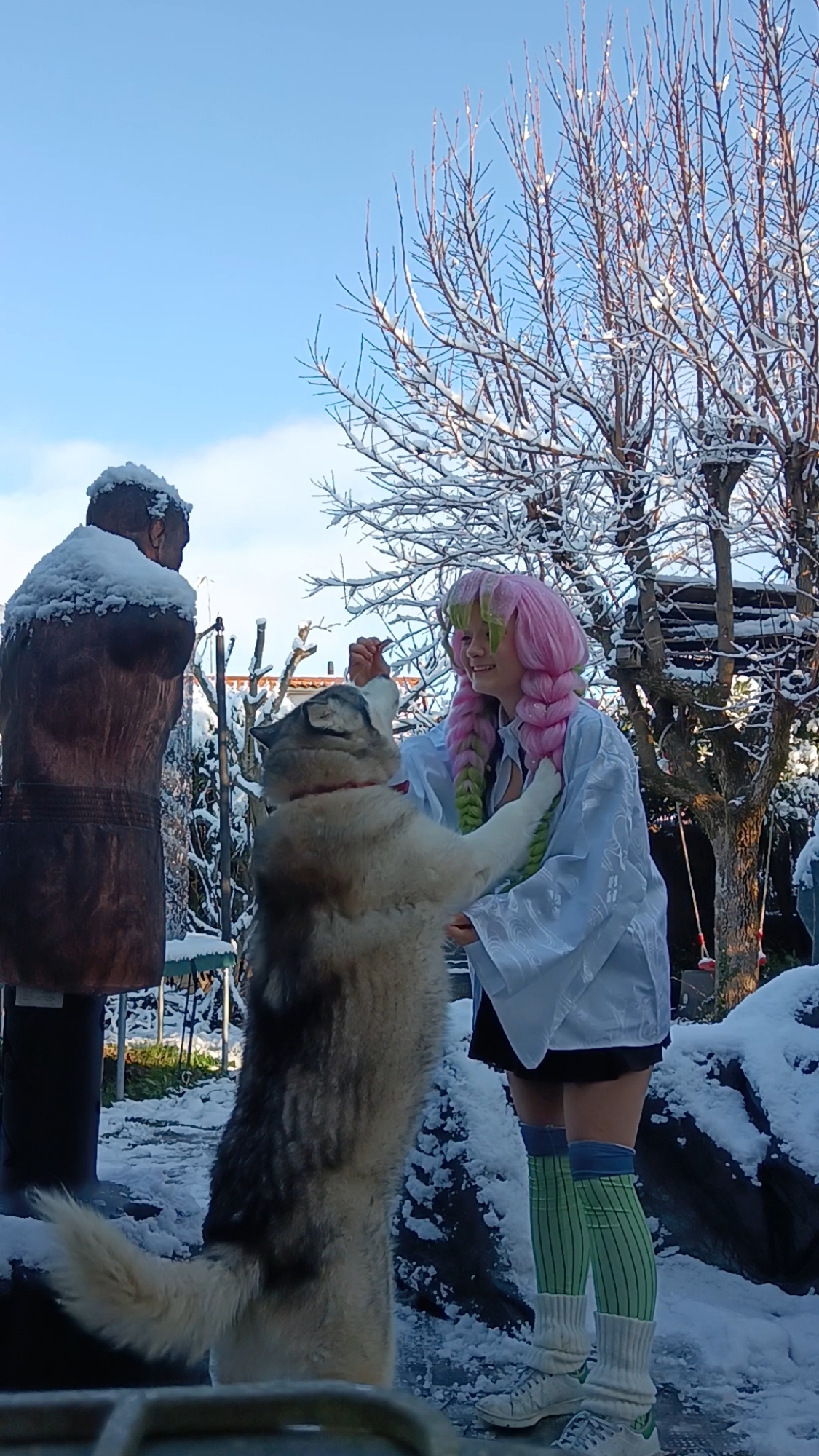 Mitsuri Kanroji - Photo 30