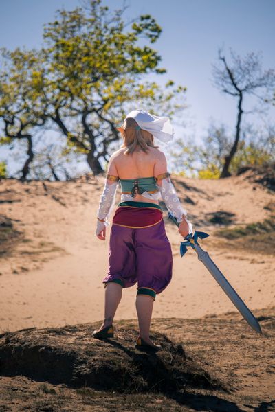 Calico_moss - Gerudo Link