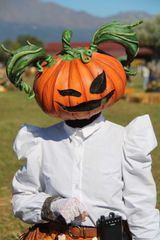 Lady Pumpkin preview 3