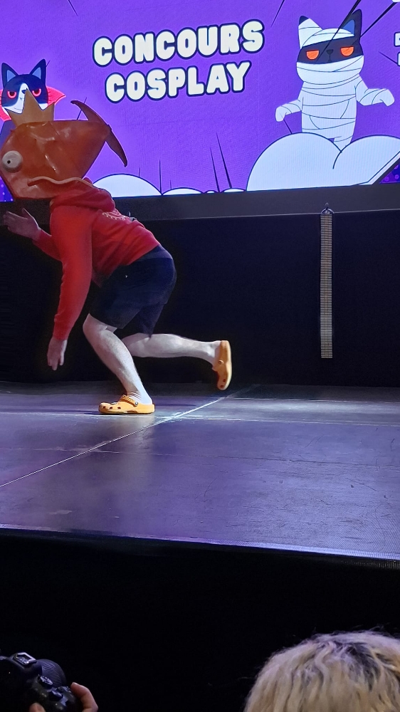 Pictapop 2024 - Photo 17