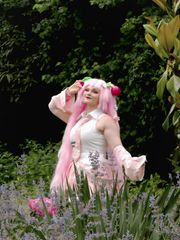 Sakura Miku preview 3