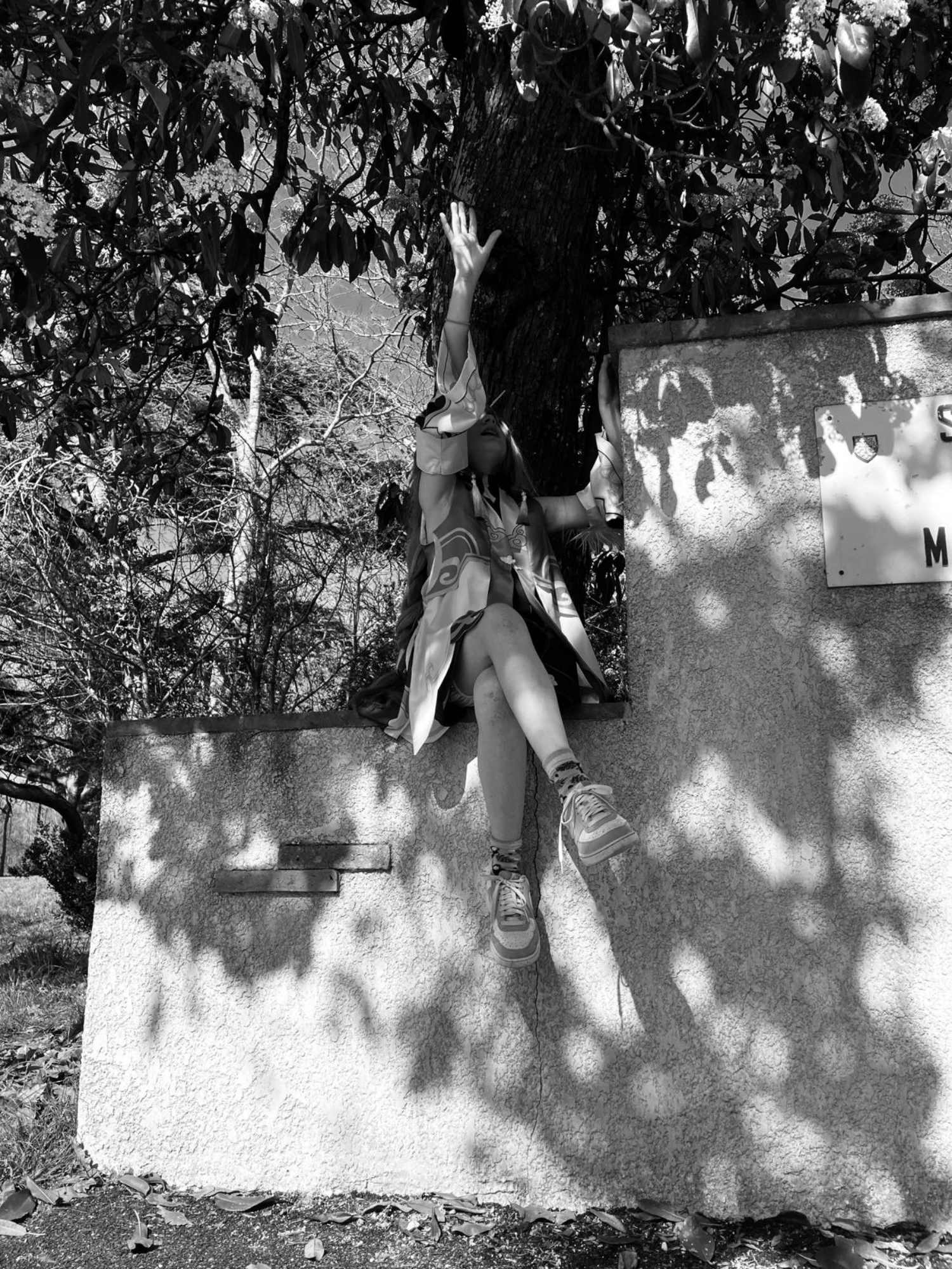Bailu — photo 6