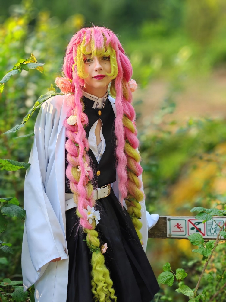 Mitsuri kanroji — photo 18