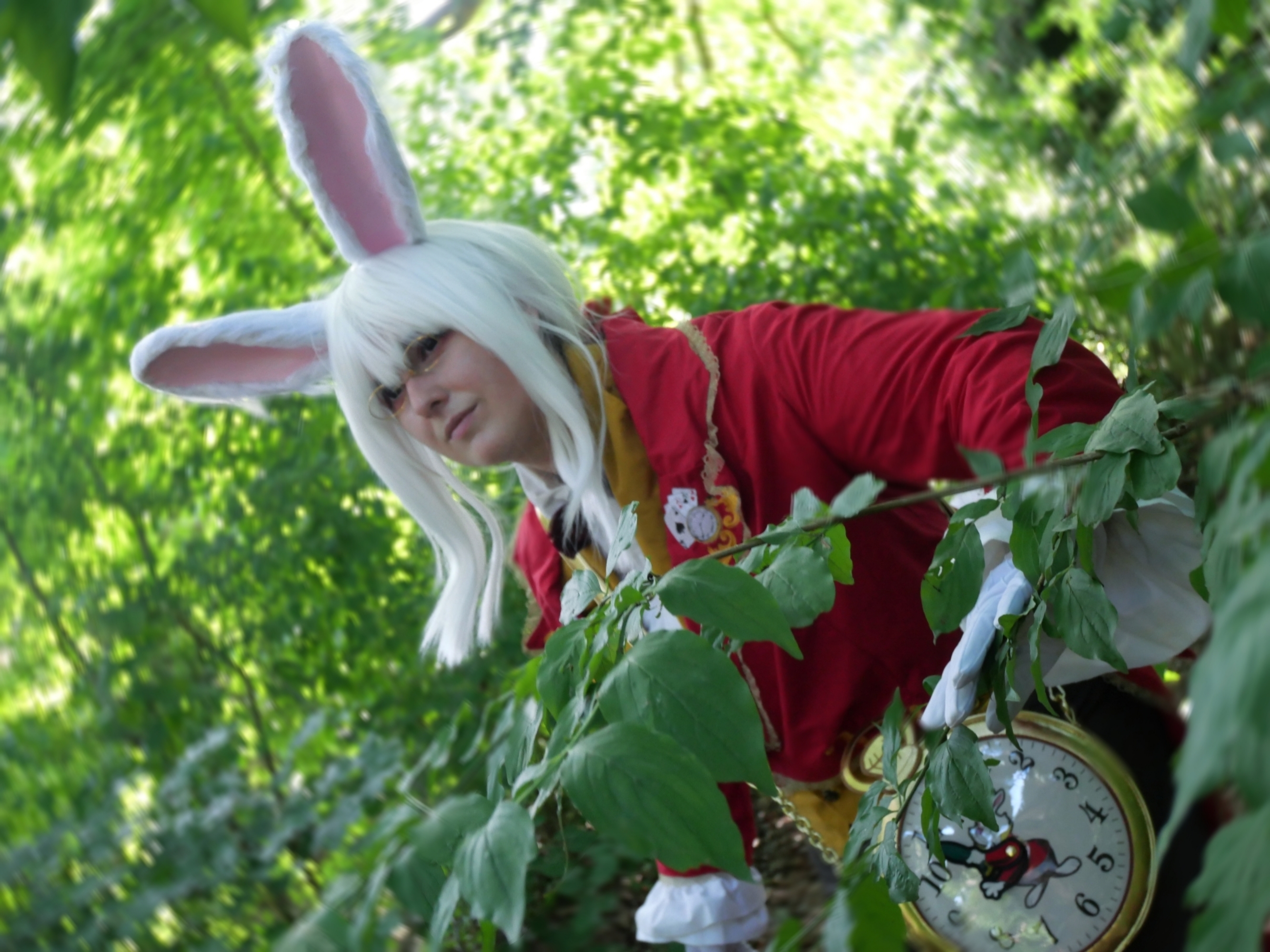 Lapin blanc d'Alice — photo 8