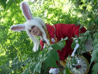 Lapin blanc d'Alice preview 2