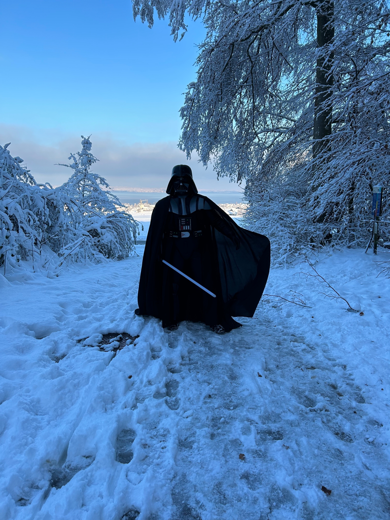 Snow Vader — photo 36