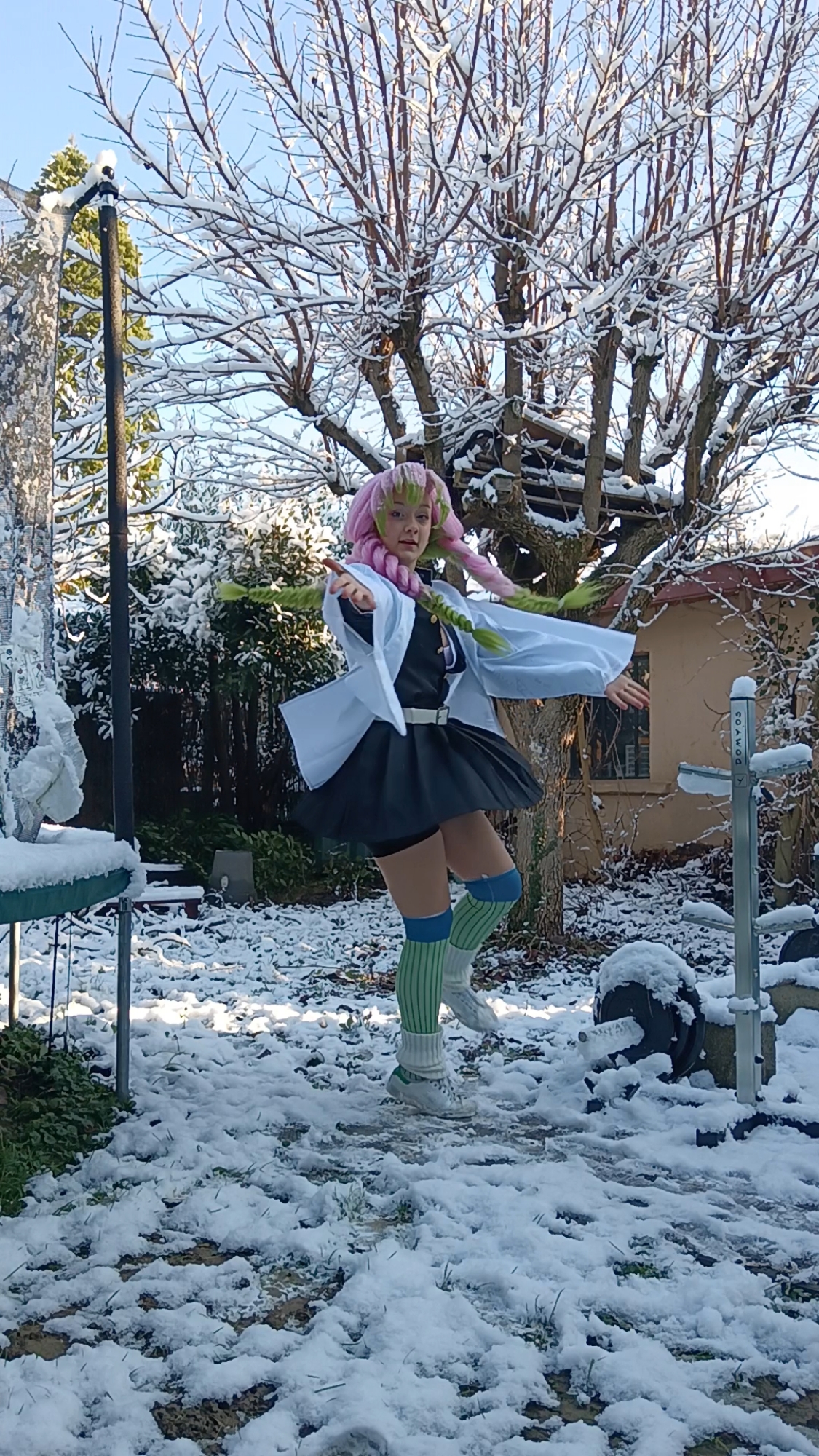 Mitsuri Kanroji — photo 32