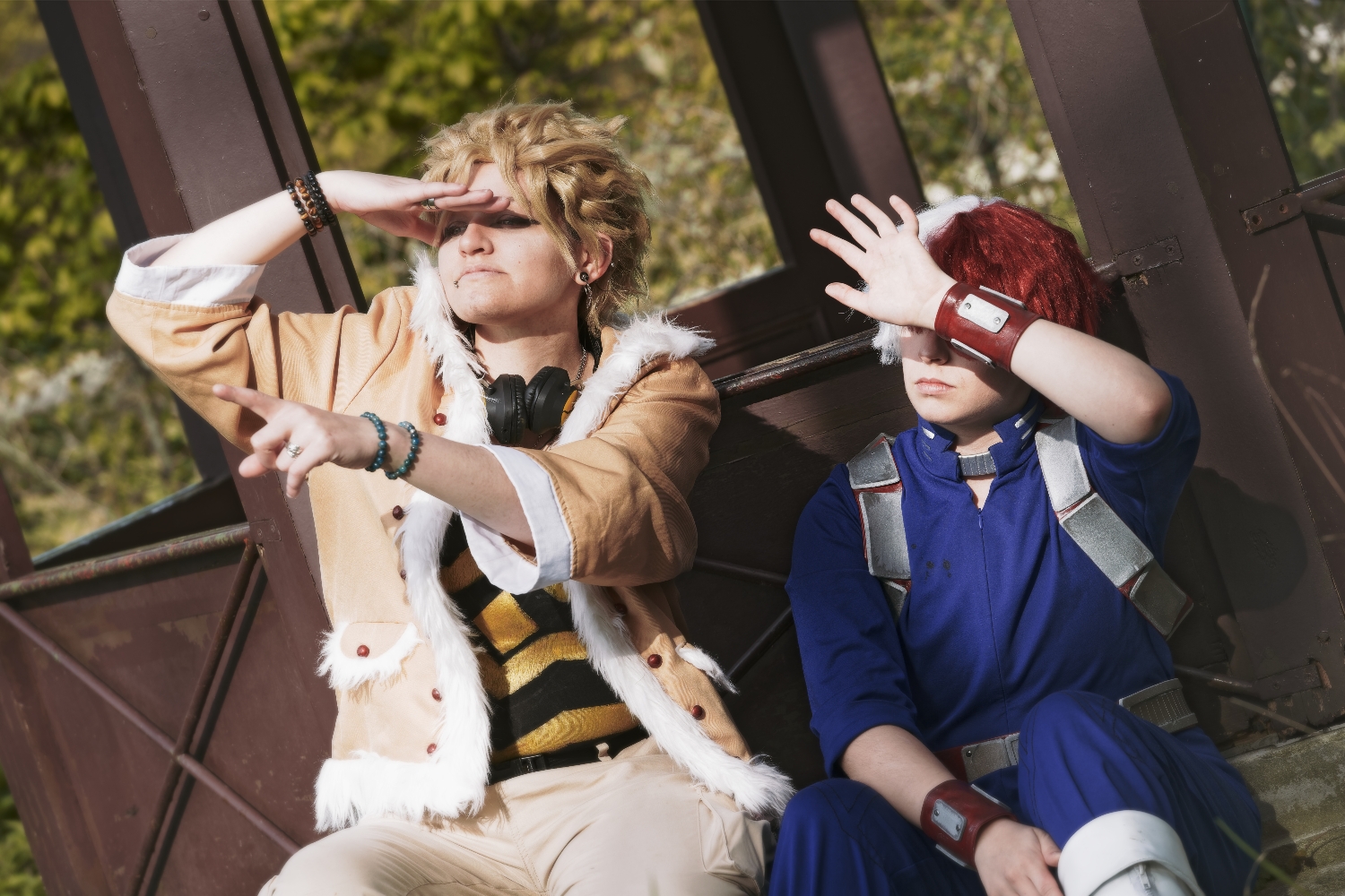 Hawks — photo 23