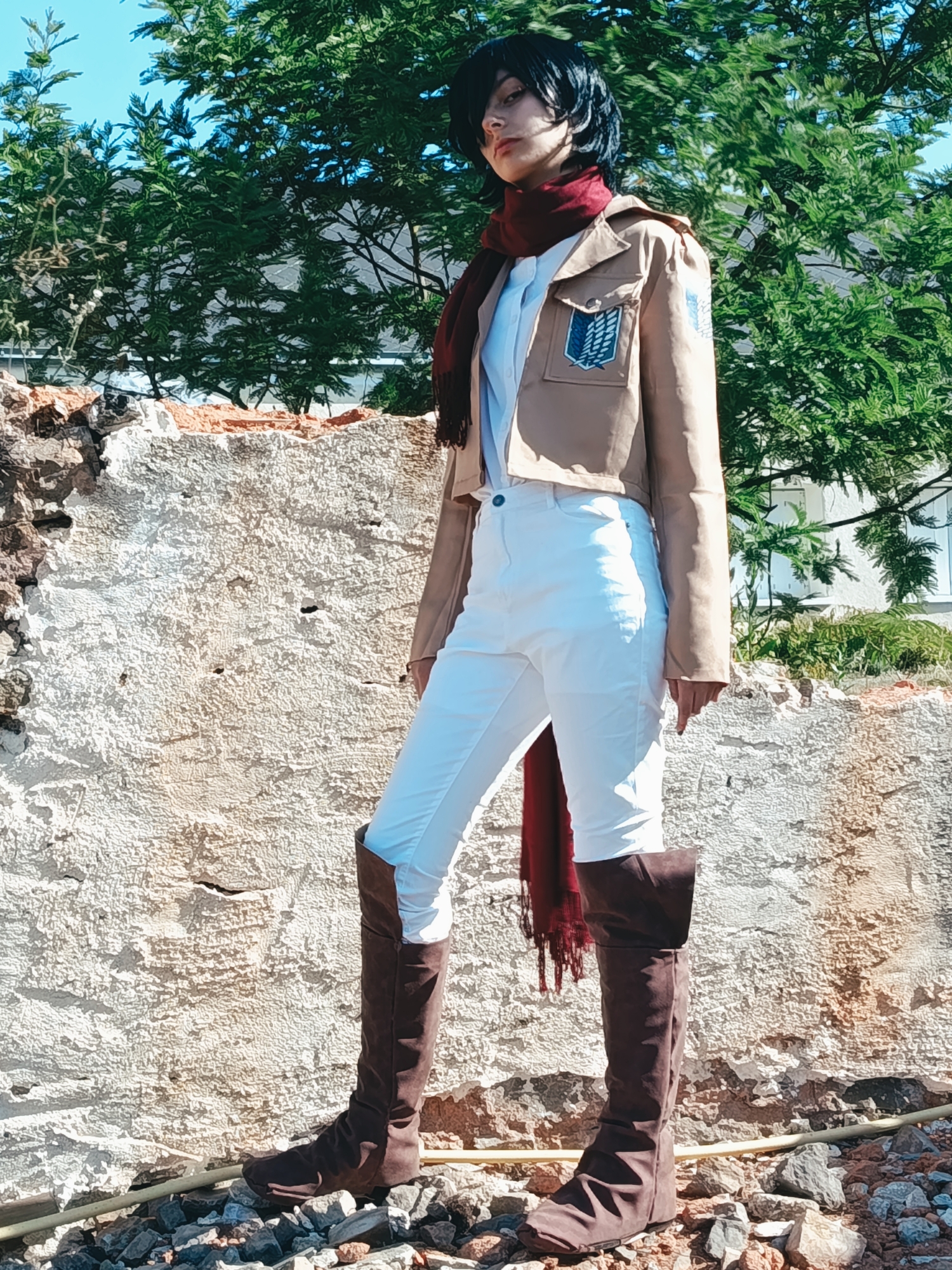 Mikasa — photo 11