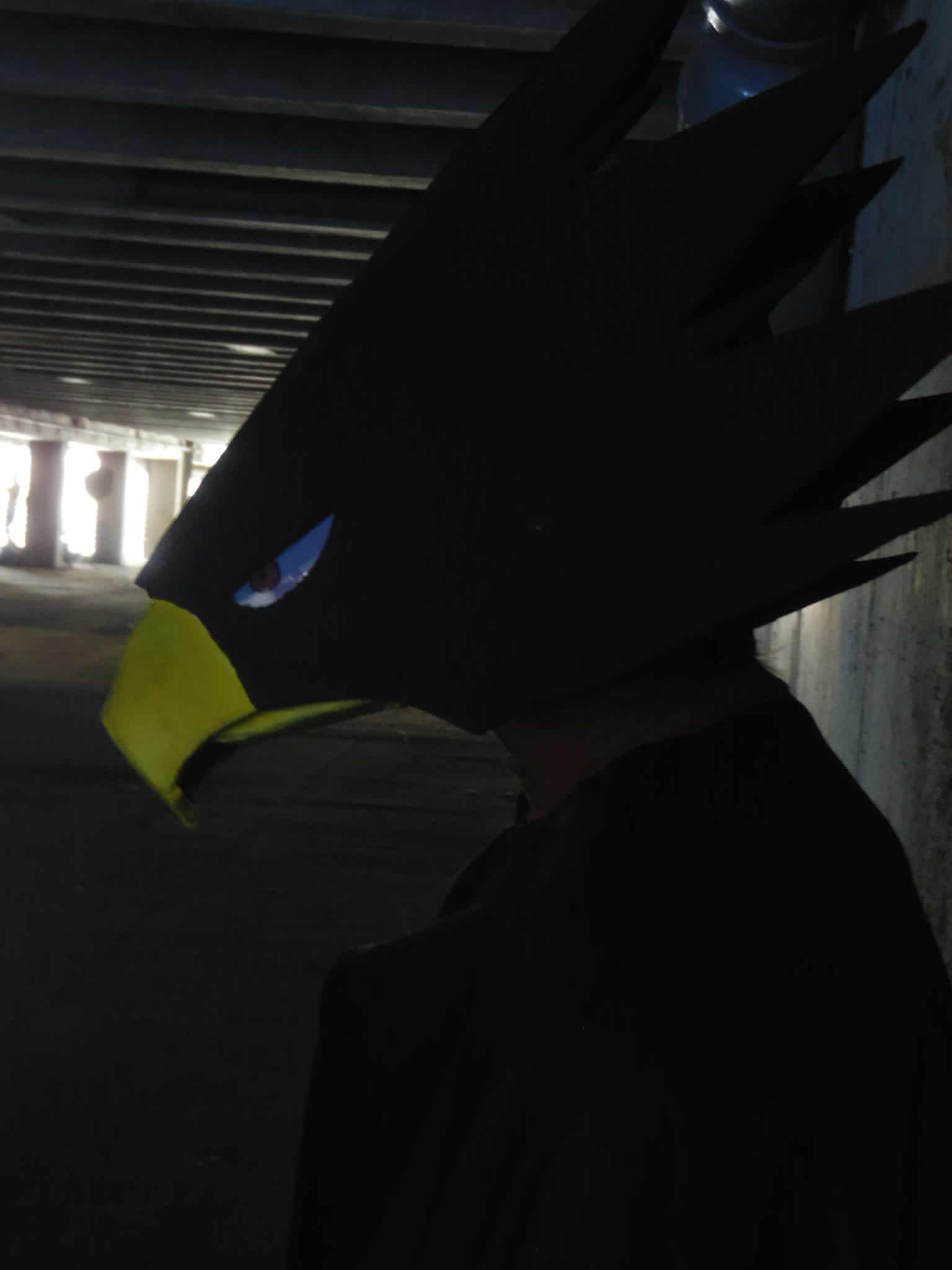 Tokoyami - JapanExpo - Photo 13
