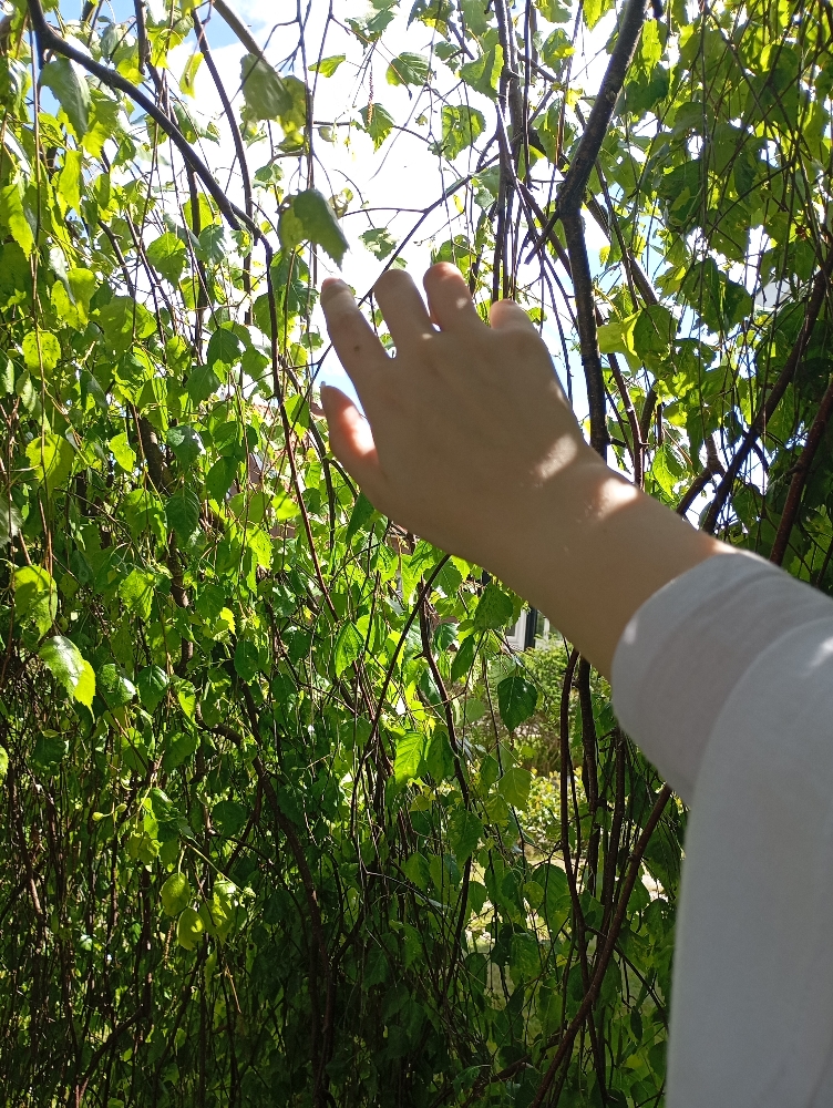 Xie Lian!! — photo 6