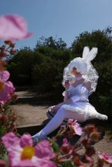 Doll preview 3