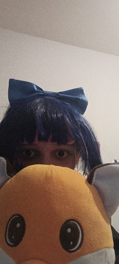 Stocking Anarchy — photo 5