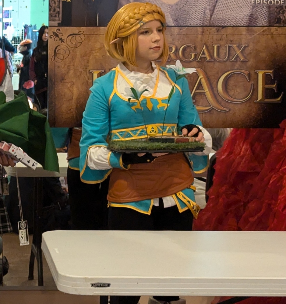 Concours cosplay  - Photo 9