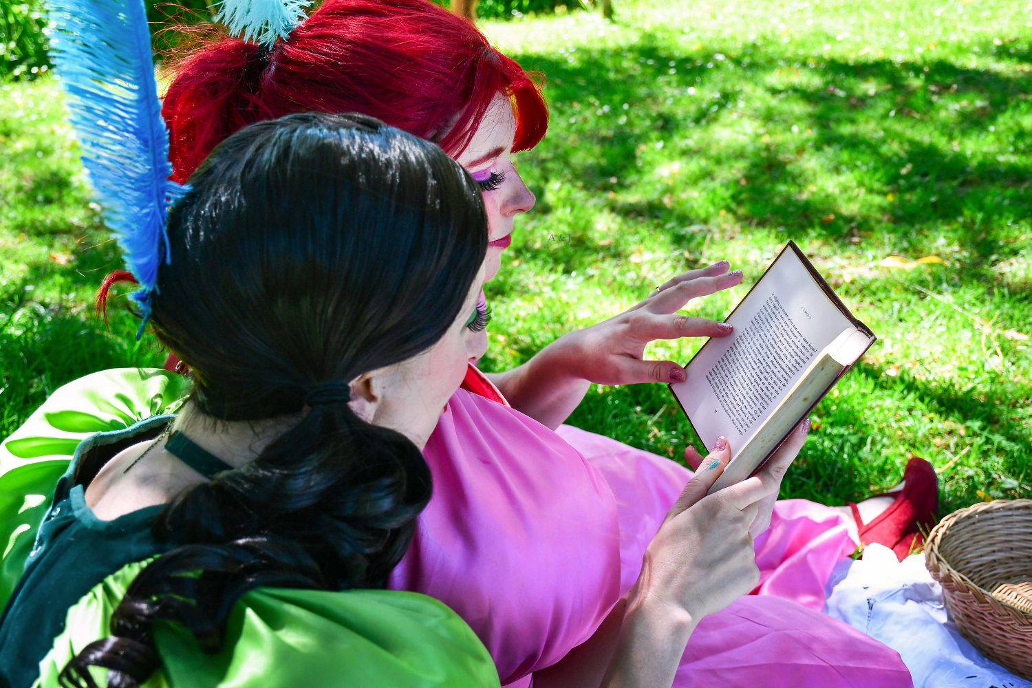 Javotte et Anastasie - Photo 8