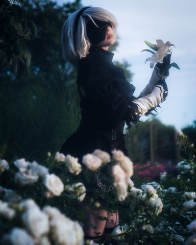 2B classic