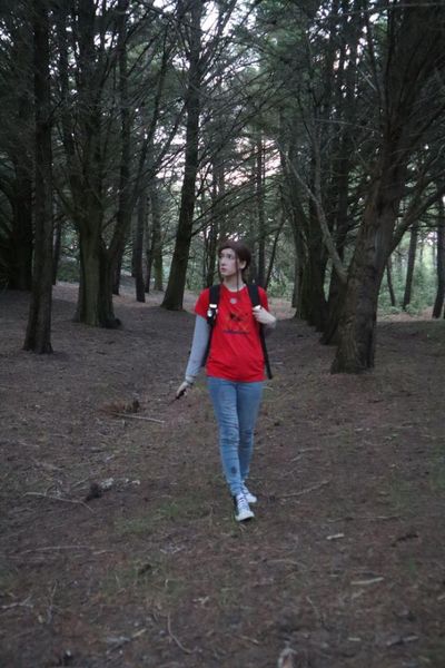 _s1lent_ech0splay - Ellie TLOU forest