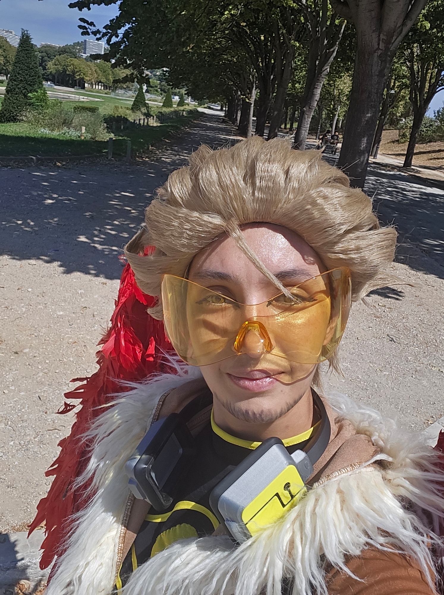 Hawks, photo 368