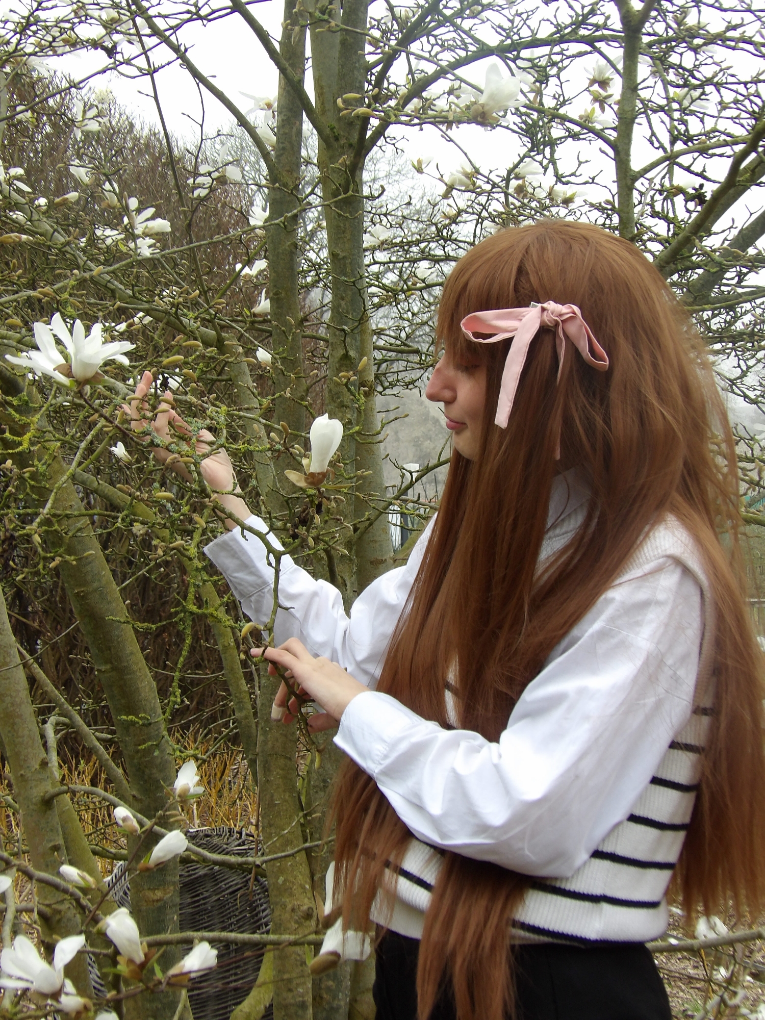 Tohru Honda — photo 38