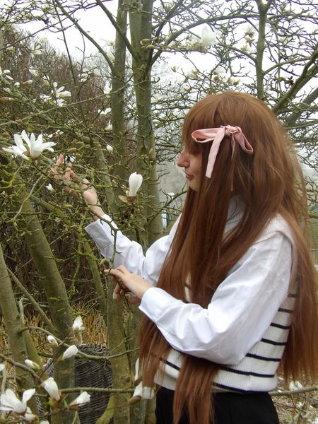 Ume.cospl - Tohru Honda 