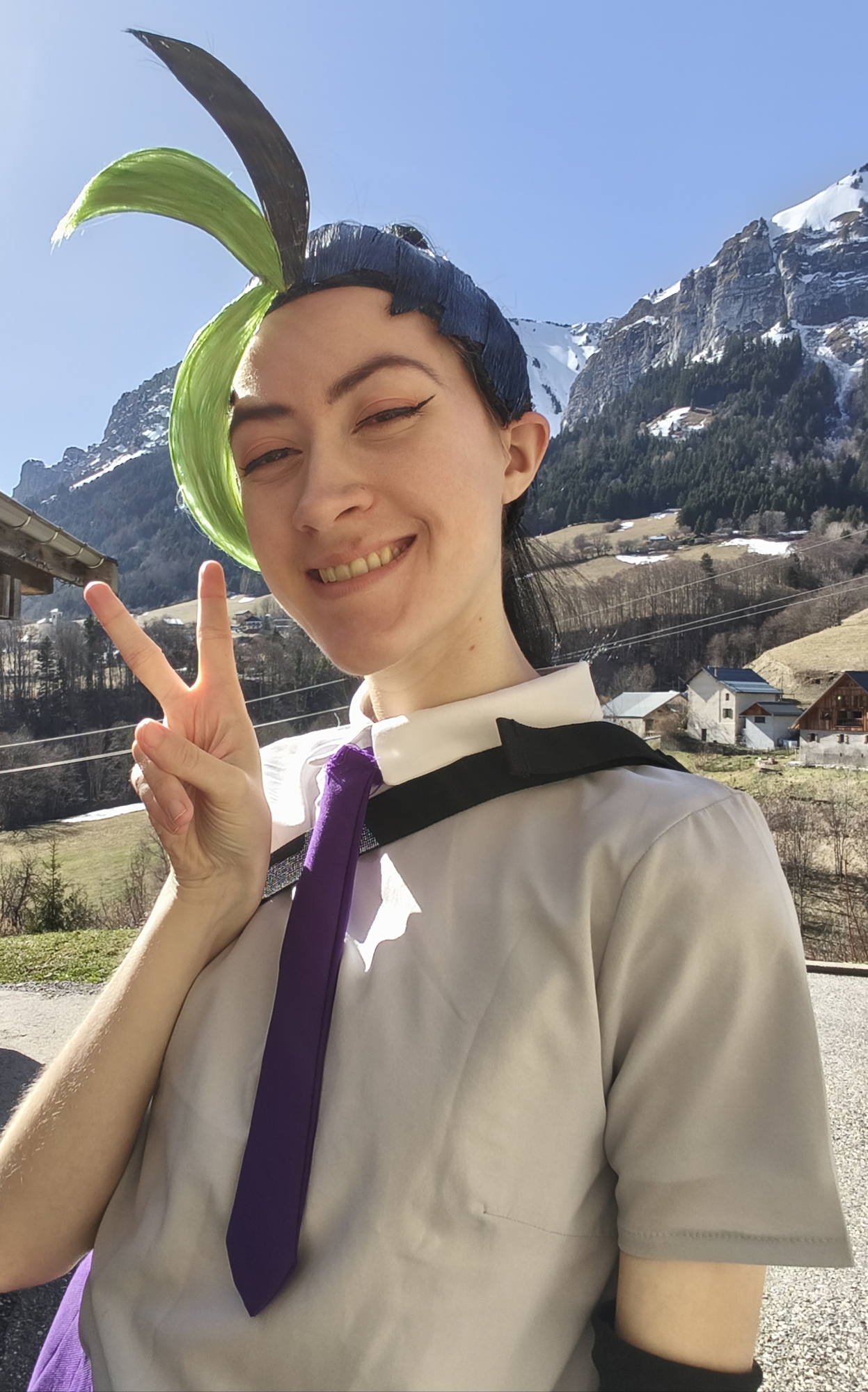 Menzi (V1) P2 — photo 12