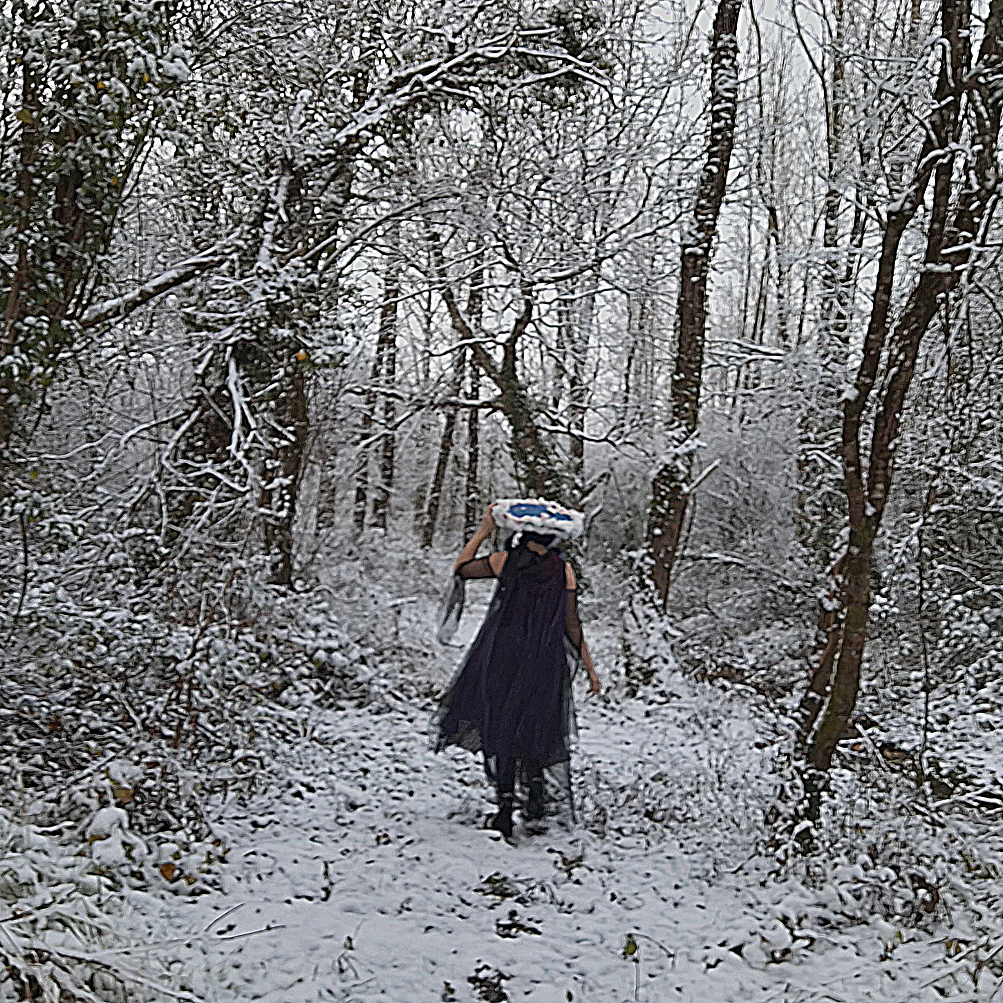 Aerys - Hiver - Photo 3