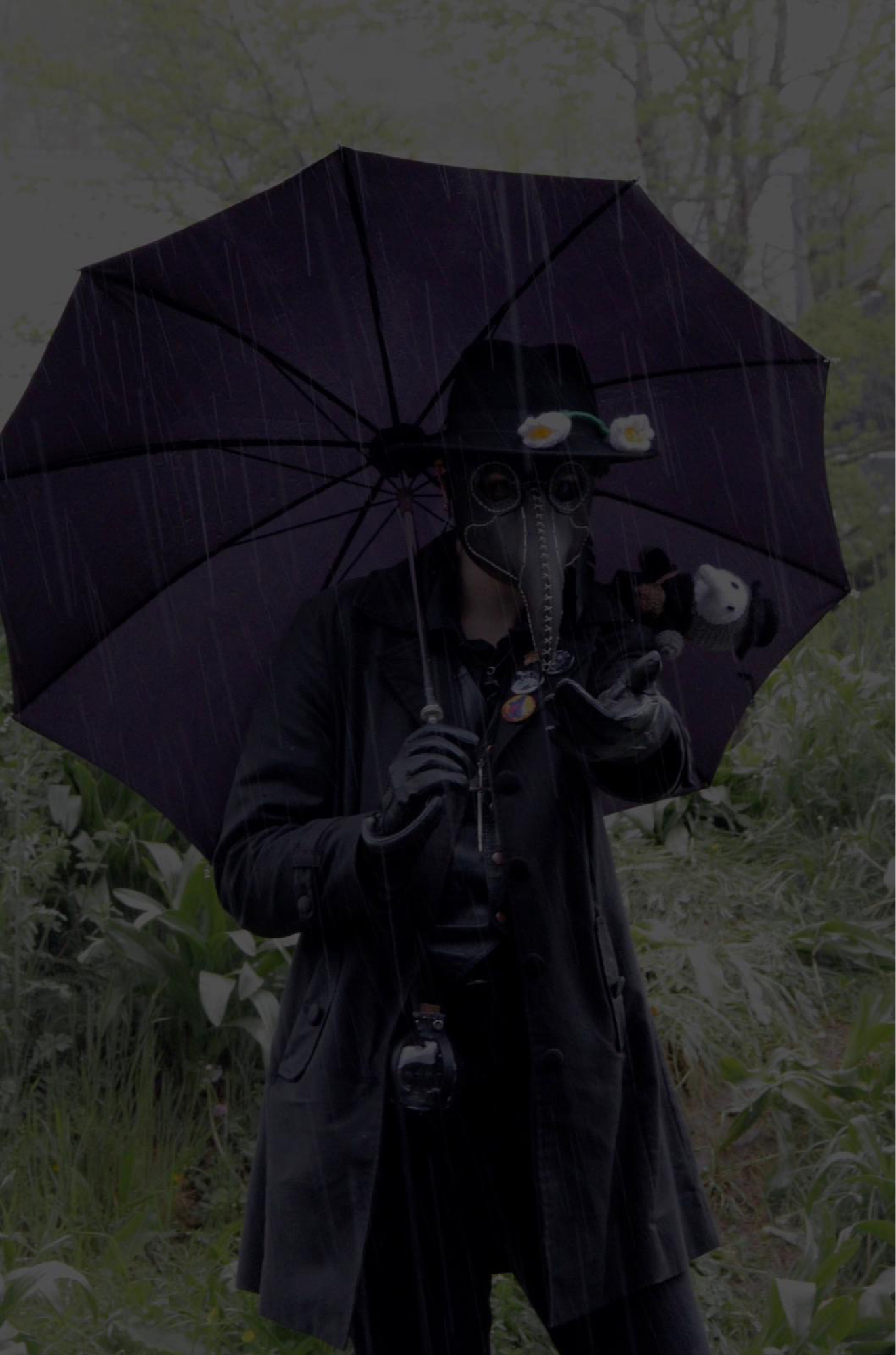 Pesty - polymanga  - Photo 5