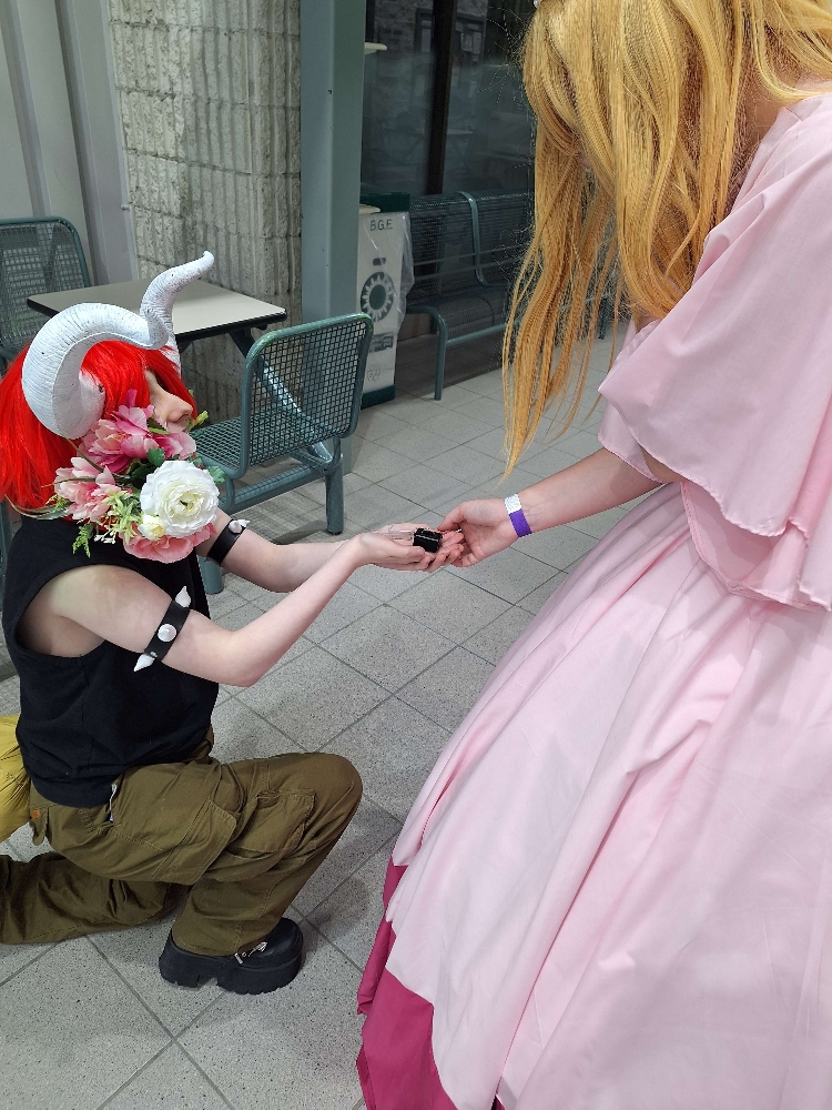 Bowser/Peach - Photo 6