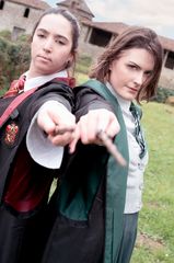 Gryffondor Student preview 2