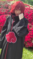Sasori [Akatsuki] preview 3