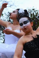 Black swan preview 3