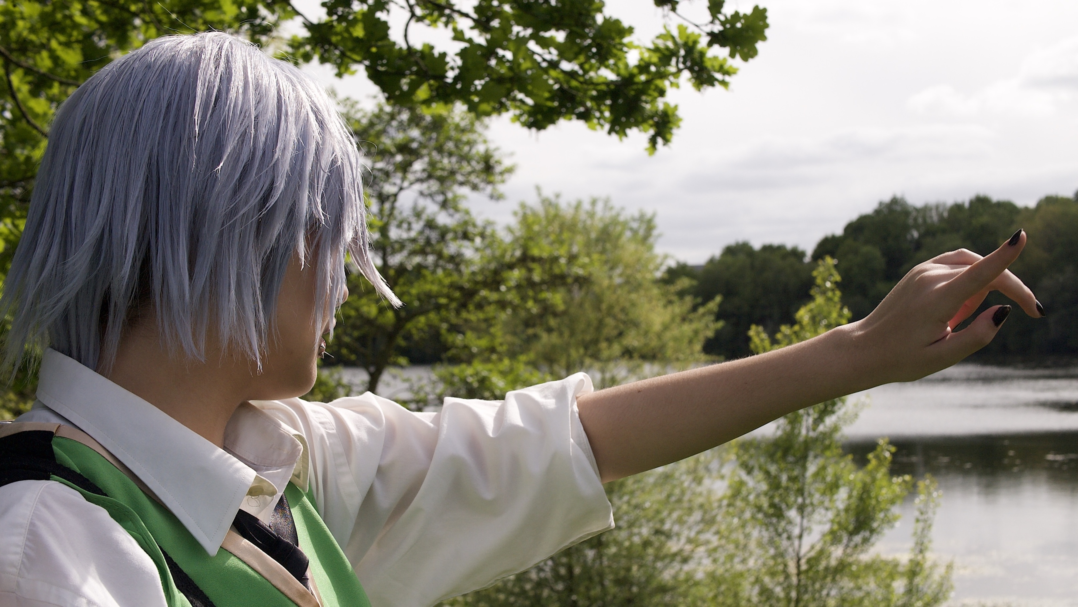 Silver japanantes — photo 7