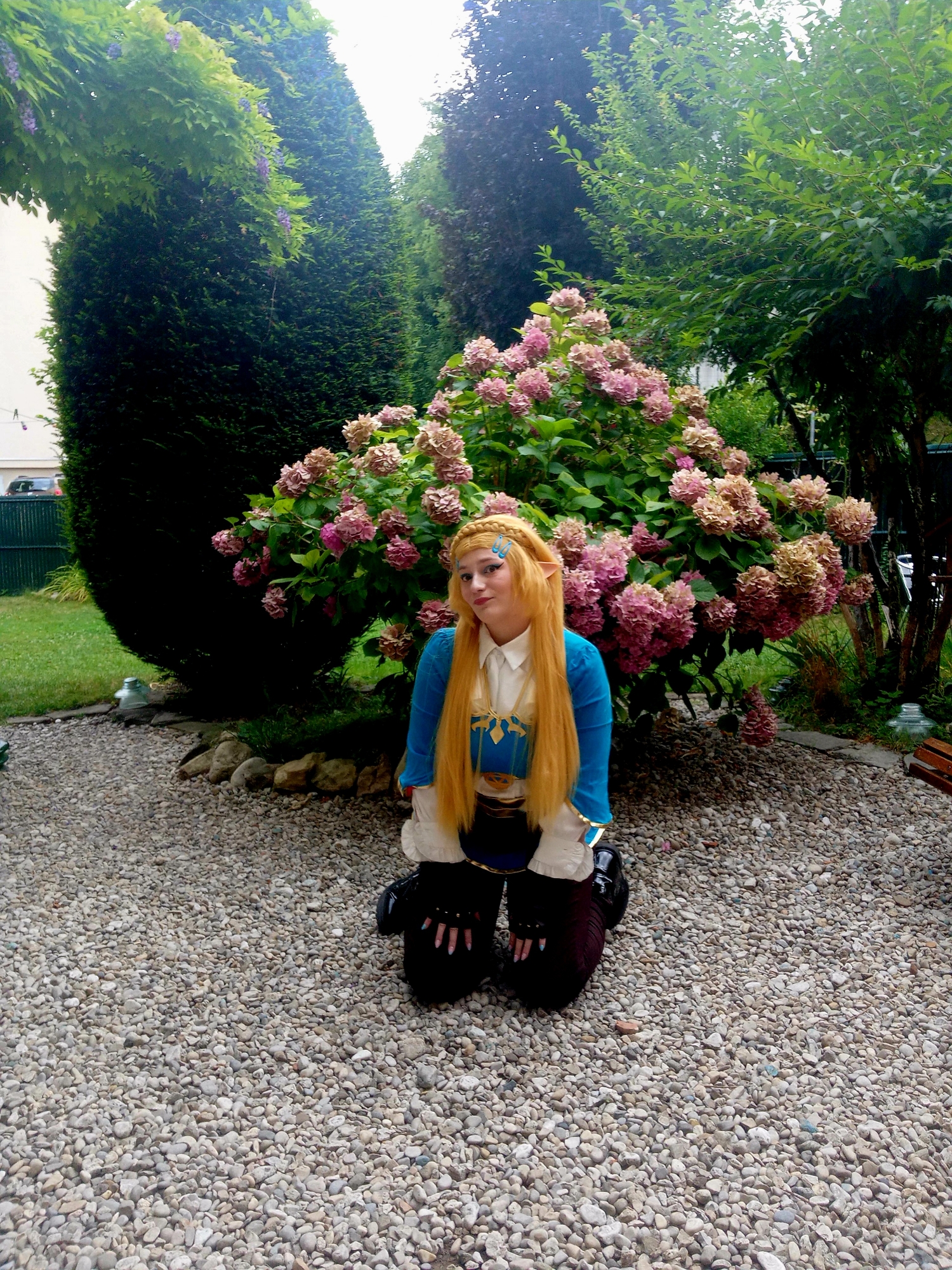 Shoot Zelda botw v2 - Photo 18