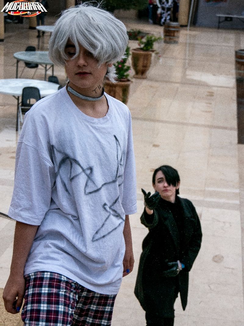 Brindlink – Ivantill