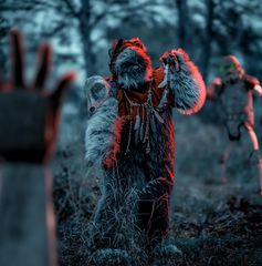 Halloween sur Endor preview 2