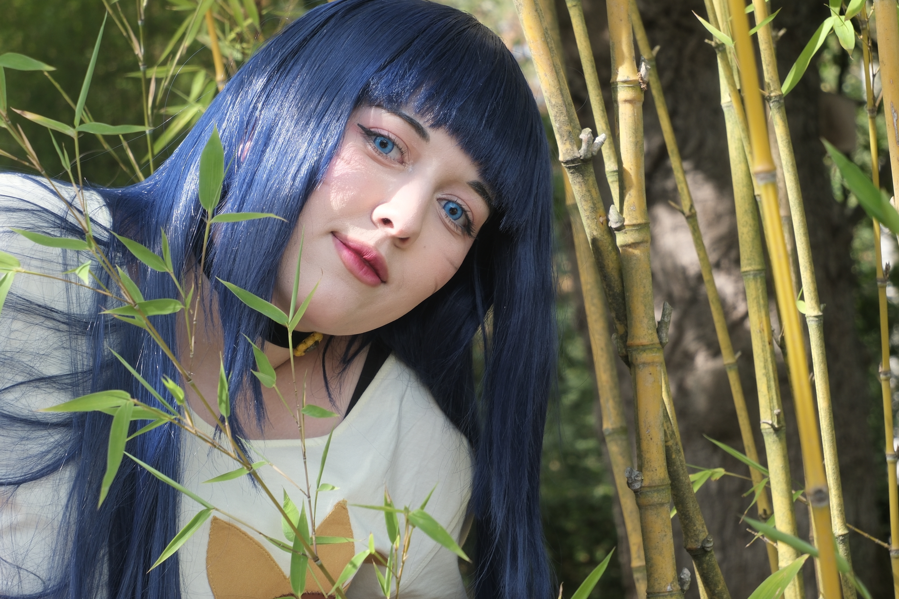 Himawari  - Photo 16