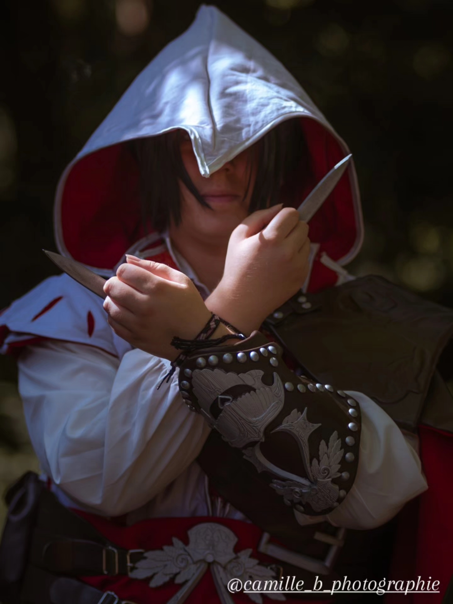 Ezio Auditore — photo 10