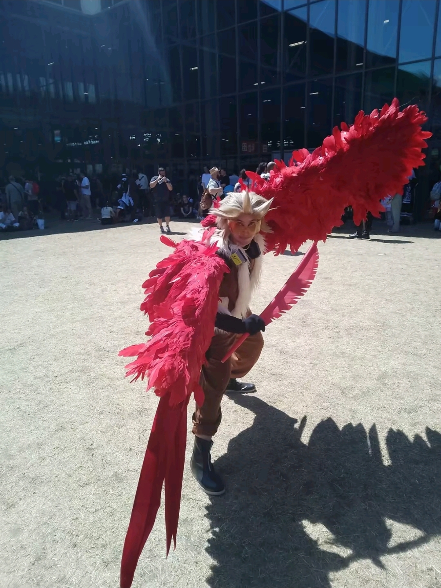 Hawks — photo 58