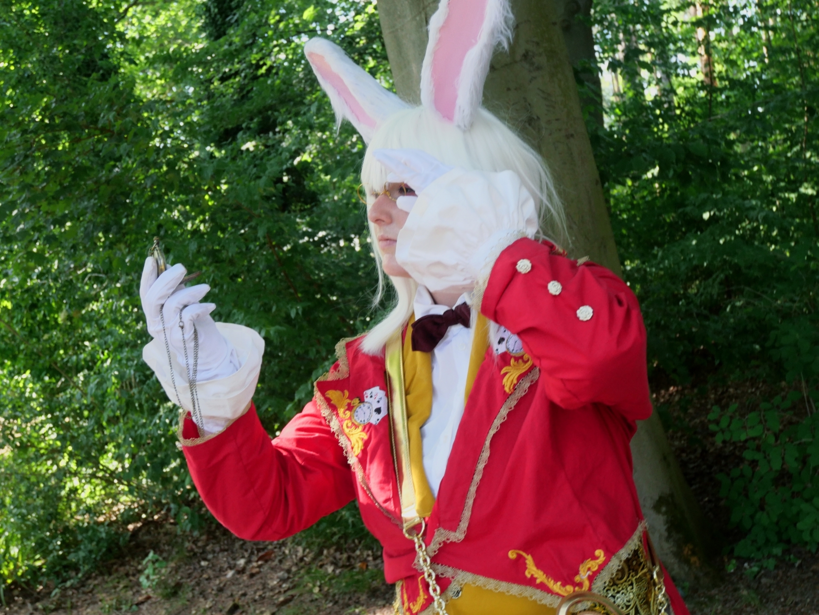 Lapin blanc d'Alice — photo 9
