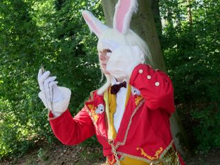 Lapin blanc d'Alice preview 3
