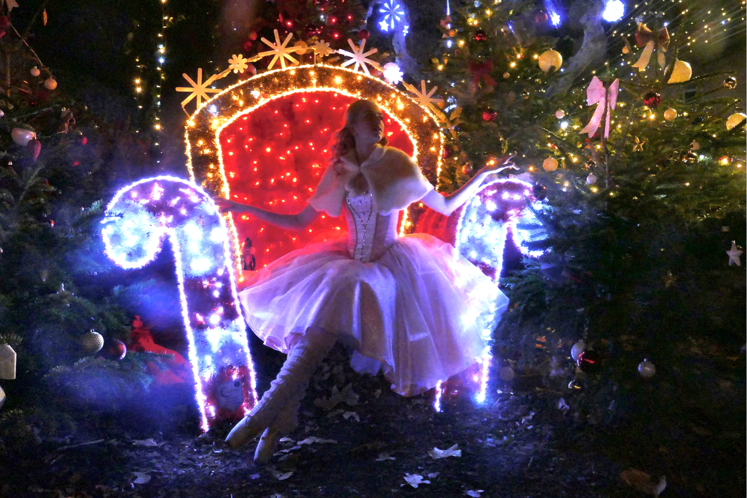 Clara/Fée Dragée 4.0