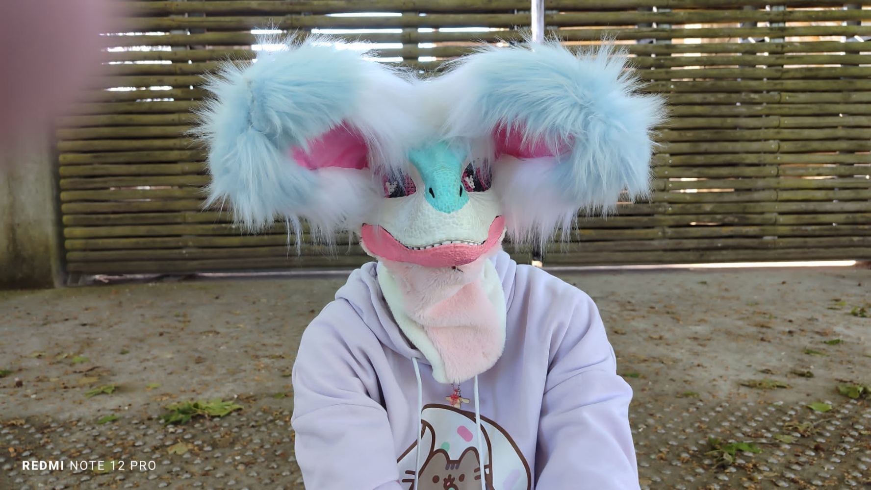 Debut du printemps  - Photo 33