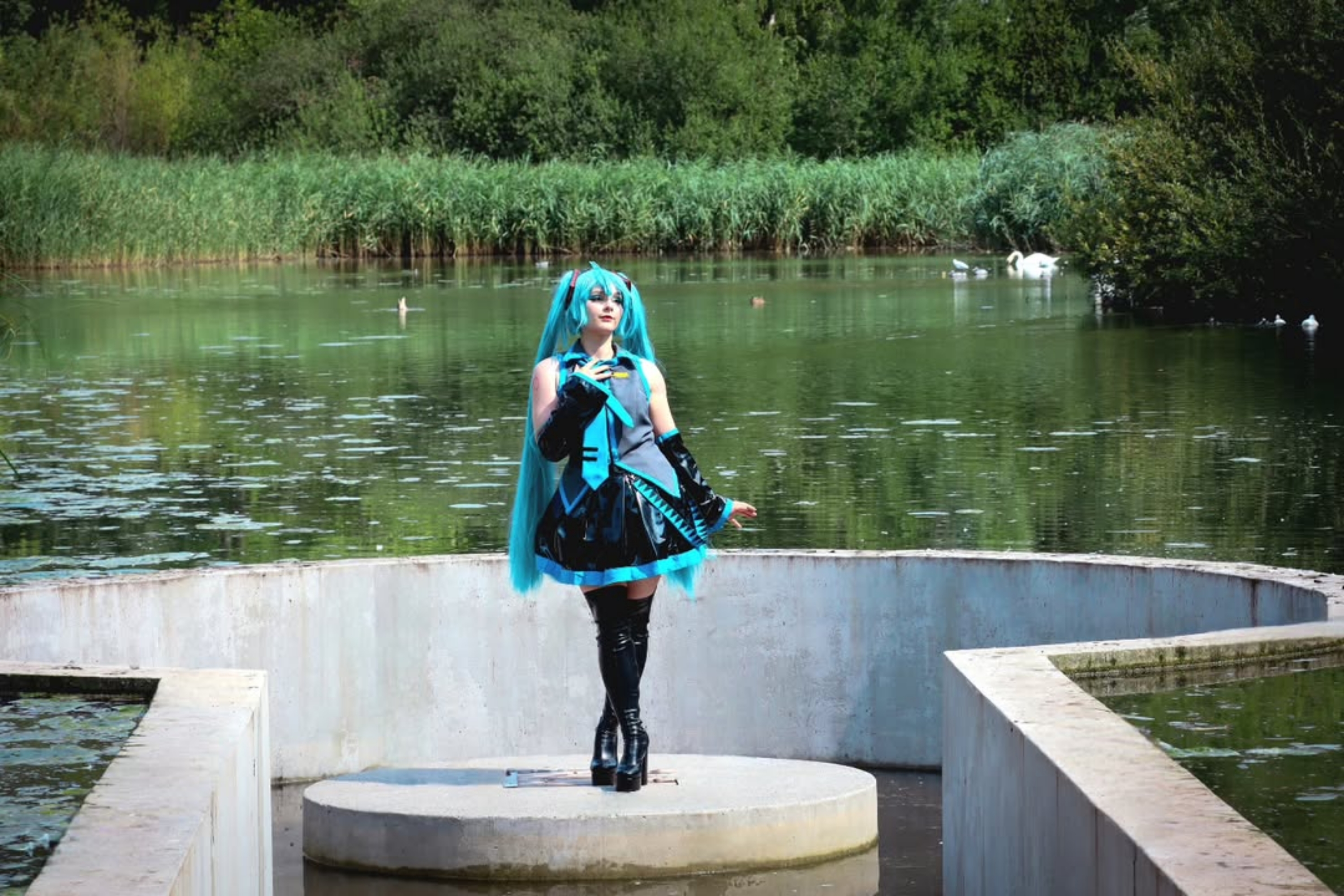 Miku — photo 11