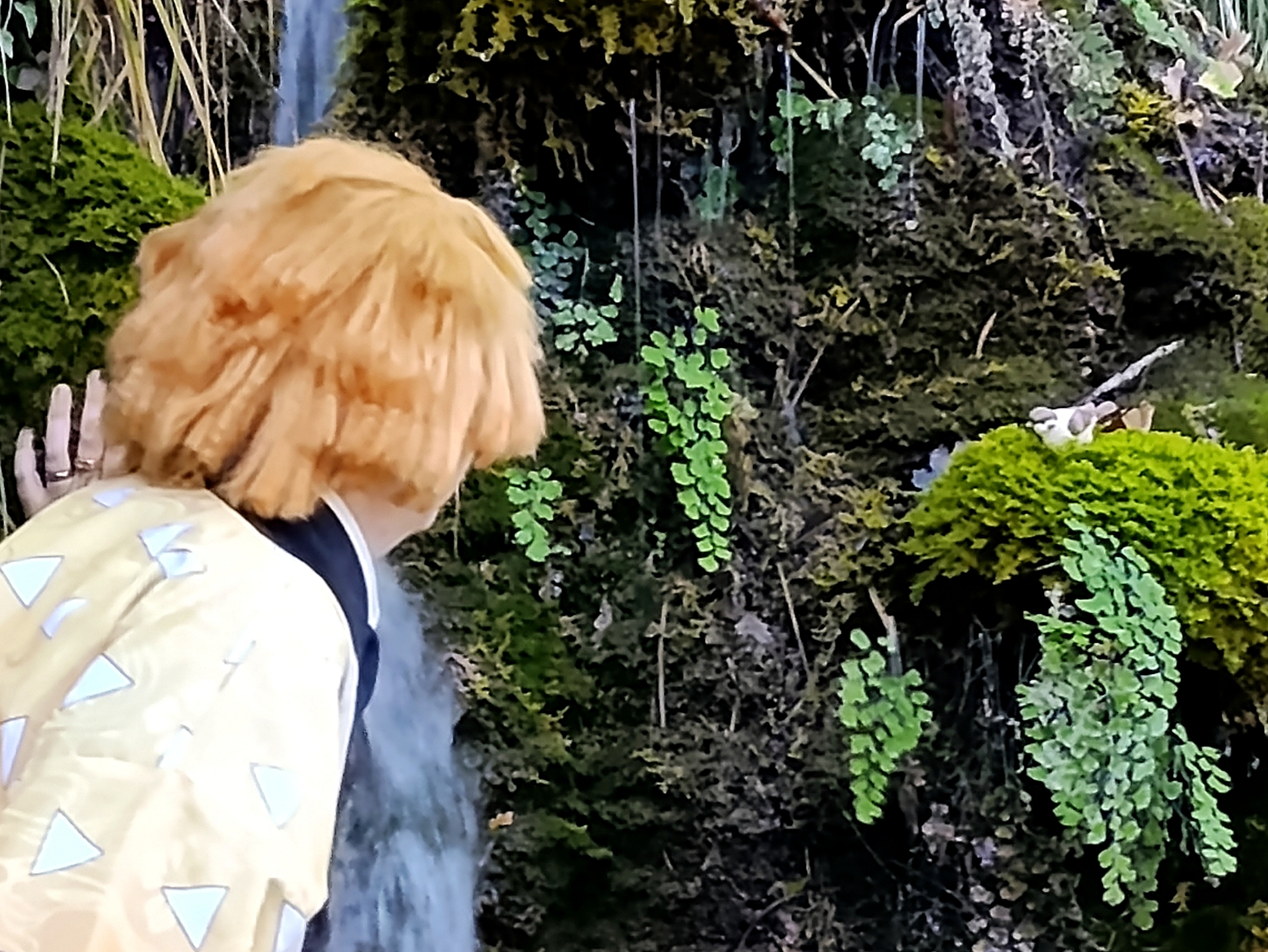 Zenitsu — photo 10