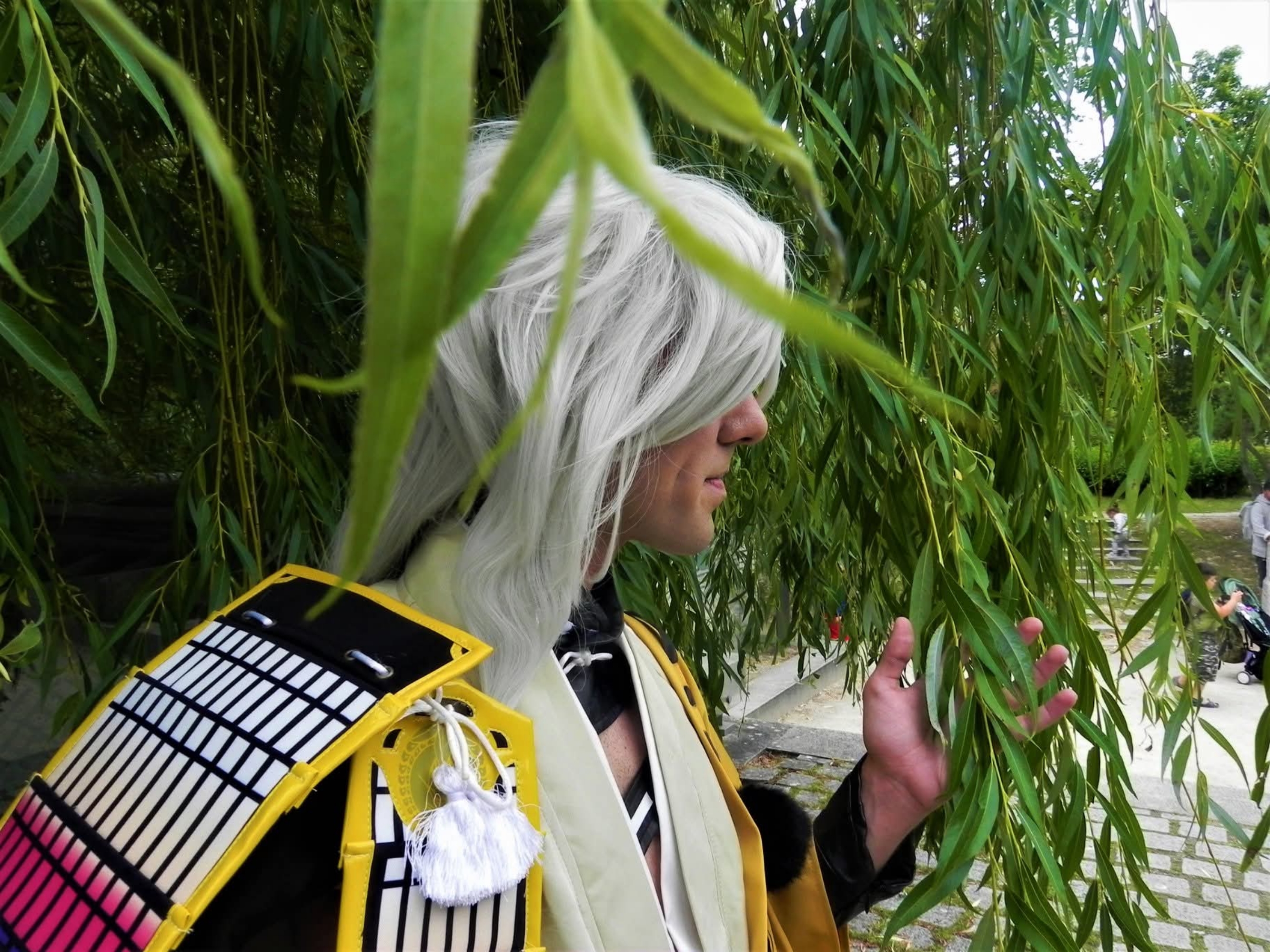 Kojitsumaru, photo 42