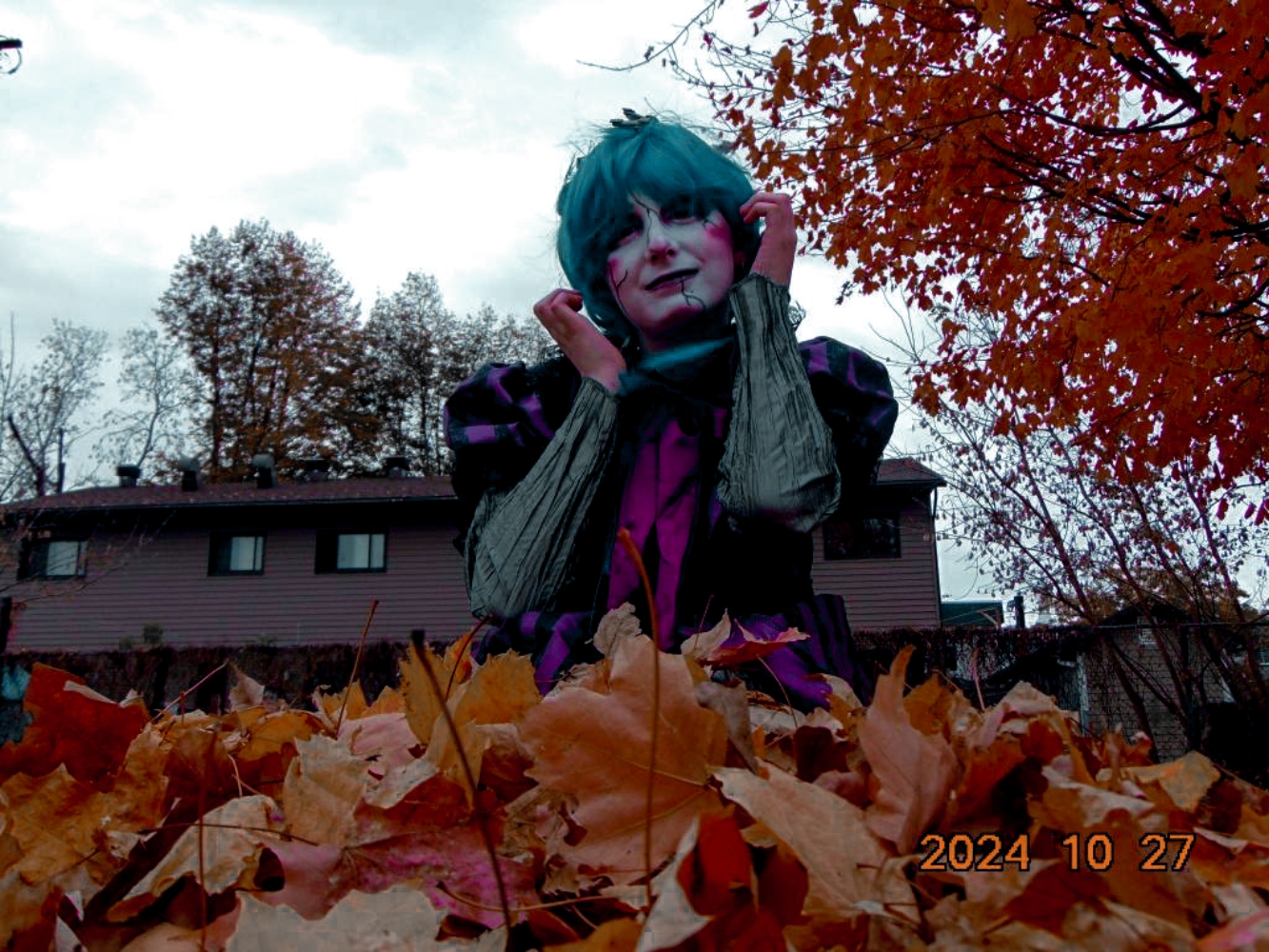 Halloween Powder - Photo 14